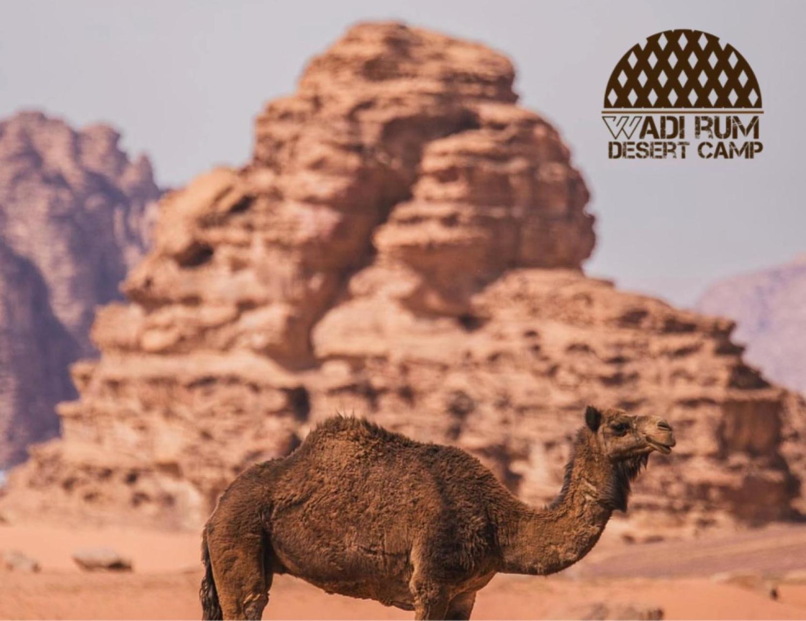Wadi Rum Desert Camp ภายนอก รูปภาพ